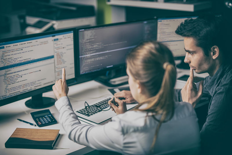 Experto en lenguaje de desarrollo web