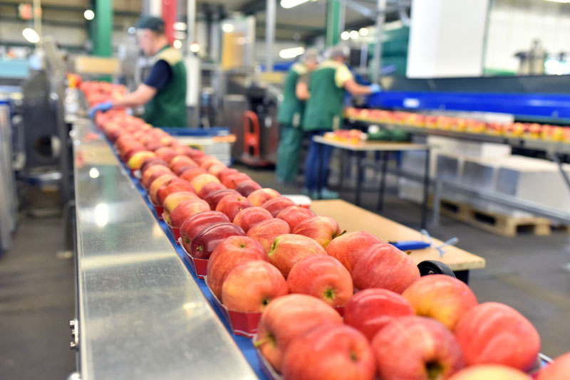 La agricultura y la construcción han aumentado a contrato indefinido en 2022